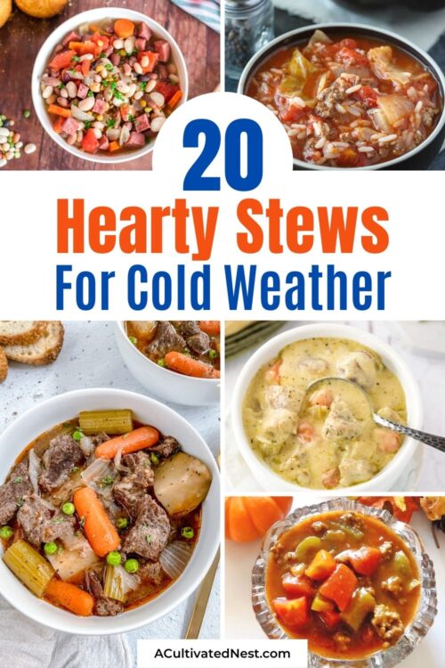 20 Hearty Stews for Cold Weather- A Cultivated Nest