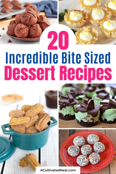 20 Incredible Bite Sized Dessert Recipes- A Cultivated Nest