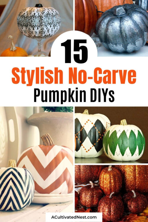 15 Stylish No Carve Pumpkin Decorating Ideas- A Cultivated Nest