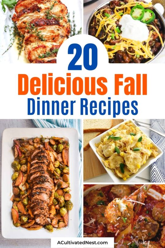 20 Delicious Fall Dinner Recipes- A Cultivated Nest