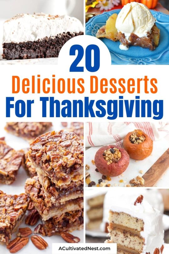 20 Delicious Thanksgiving Dessert Recipes- A Cultivated Nest