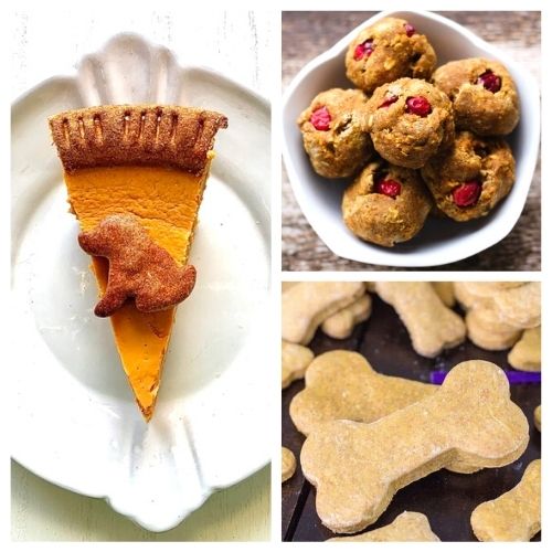 20 Homemade Thanksgiving Dog Treats- Your dog can enjoy some delicious treats this Thanksgiving, too, with these homemade Thanksgiving dog treats! | dog treat recipes for Thanksgiving, #homemadeDogTreats #dogTreats #dogs #pets #ACultivatedNest