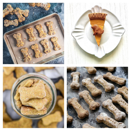 20 Homemade Thanksgiving Dog Treats- Your dog can enjoy some delicious treats this Thanksgiving, too, with these homemade Thanksgiving dog treats! | dog treat recipes for Thanksgiving, #homemadeDogTreats #dogTreats #dogs #pets #ACultivatedNest