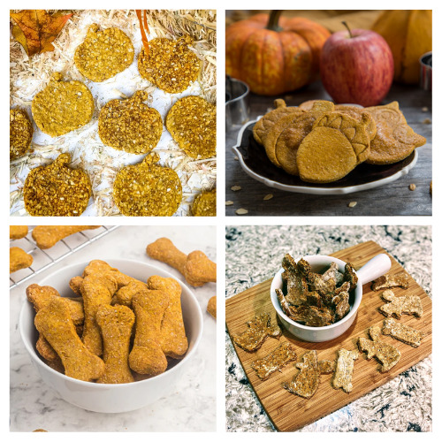 20 Homemade Thanksgiving Dog Treat Recipes- Your dog can enjoy some delicious treats this Thanksgiving, too, with these homemade Thanksgiving dog treats! | dog treat recipes for Thanksgiving, #homemadeDogTreats #dogTreats #dogs #pets #ACultivatedNest