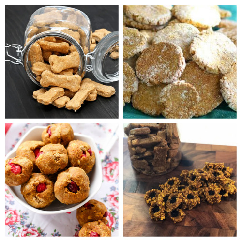 20 Homemade Thanksgiving Dog Treat Recipes- Your dog can enjoy some delicious treats this Thanksgiving, too, with these homemade Thanksgiving dog treats! | dog treat recipes for Thanksgiving, #homemadeDogTreats #dogTreats #dogs #pets #ACultivatedNest