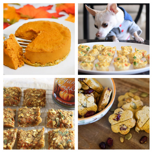 20 Dog-friendly Treat Recipes for Thanksgiving- Your dog can enjoy some delicious treats this Thanksgiving, too, with these homemade Thanksgiving dog treats! | dog treat recipes for Thanksgiving, #homemadeDogTreats #dogTreats #dogs #pets #ACultivatedNest