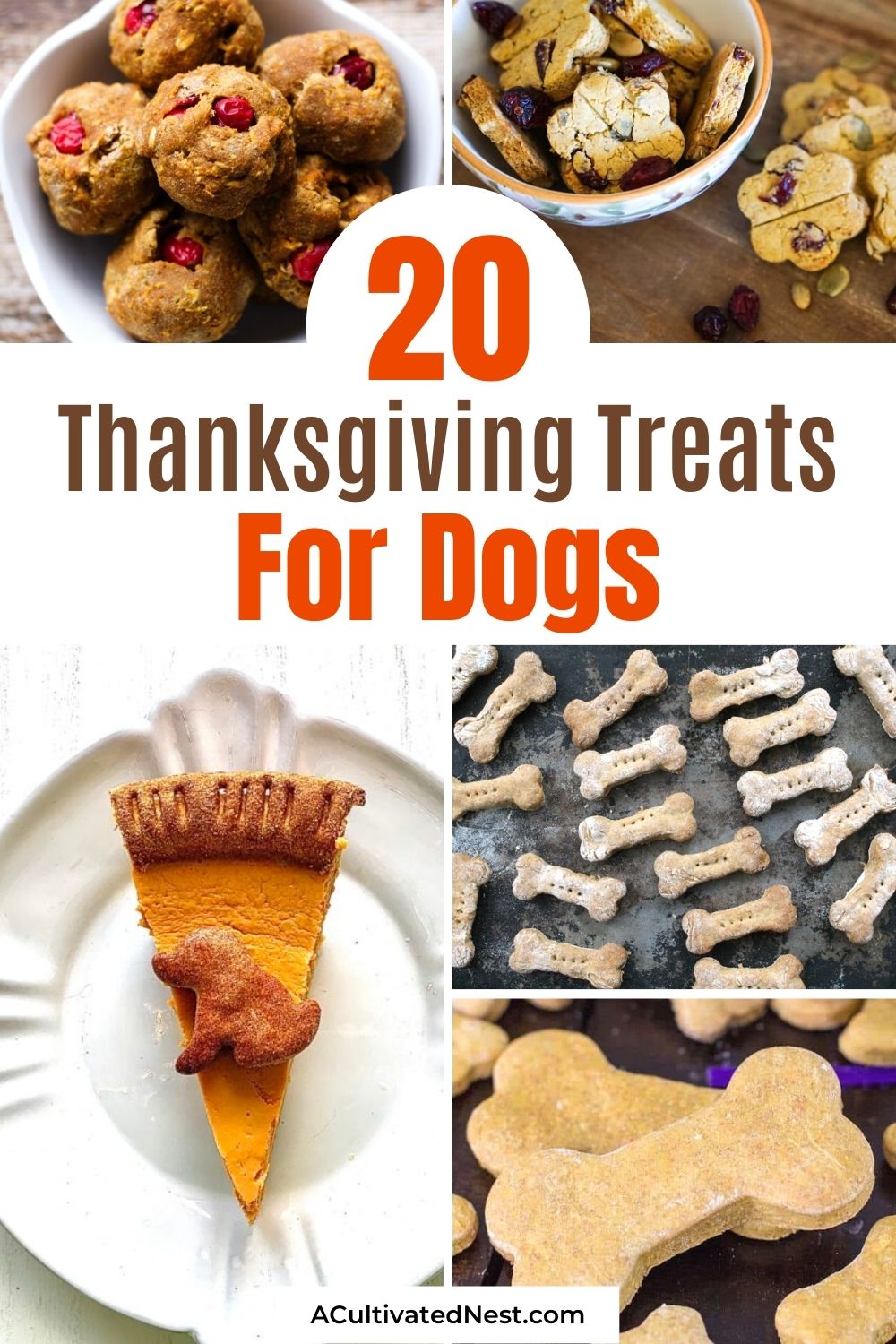 20 Homemade Thanksgiving Dog Treats- This year, let your dog enjoy some delicious treats on Thanksgiving, too, with these homemade Thanksgiving dog treats! There are so many dog-friendly Thanksgiving recipes you can try! | dog treat recipes for Thanksgiving, #homemadeDogTreats #dogTreats #dogTreatRecipe #dogFood #ACultivatedNest