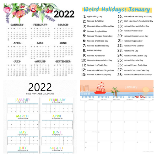 cute free printable january 2022 calendar