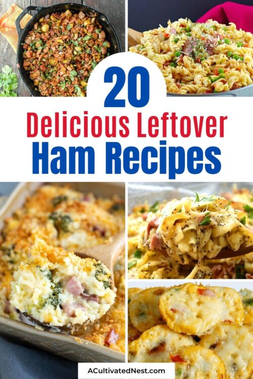 Delicious Leftover Ham Recipes V1 500x750 