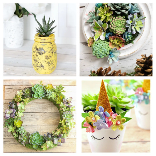 24 Fun Succulent Crafts- These fun succulent crafts are a wonderful way to add some natural touches to your space! And they're easy to make! | #succulents #crafts #diyProjects #succulentCrafts #ACultivatedNest