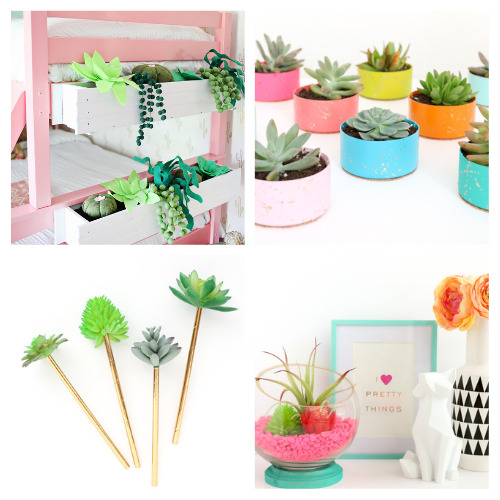 24 Fun Succulent DIYs- These fun succulent crafts are a wonderful way to add some natural touches to your space! And they're easy to make! | #succulents #crafts #diyProjects #succulentCrafts #ACultivatedNest