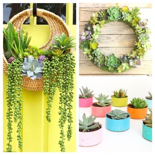 24 Fun Succulent Crafts- These fun succulent crafts are a wonderful way to add some natural touches to your space! And they're easy to make! | #succulents #crafts #diyProjects #succulentCrafts #ACultivatedNest