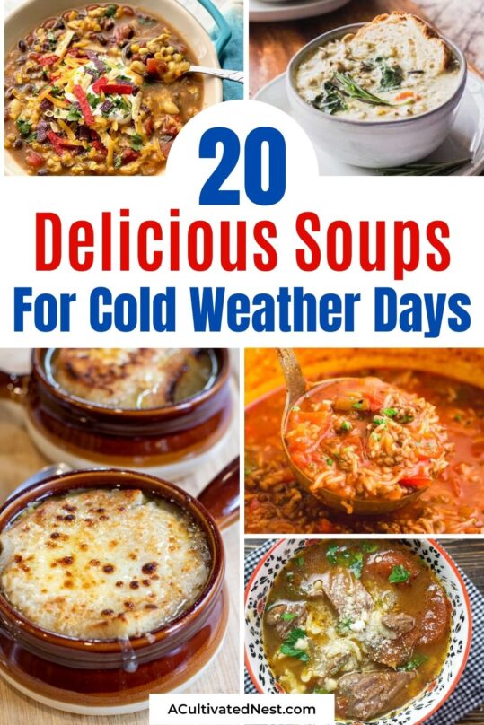 20 Winter Soup Recipes to Warm You Up- A Cultivated Nest