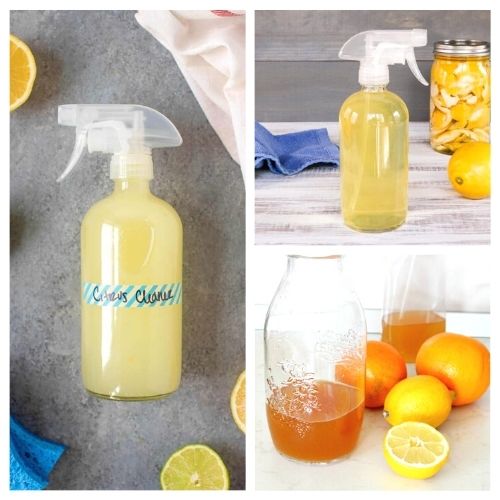 16 Frugal DIY Citrus Cleaners- Clean your home naturally and make it smell wonderful at the same time with these frugal DIY citrus cleaners! | #homemadeCleaners #diyCleaners #cleaning #cleaningTips #ACultivatedNest