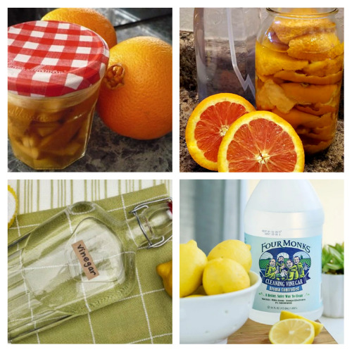 16 Frugal DIY Citrus Cleaners- Clean your home naturally and make it smell wonderful at the same time with these frugal DIY citrus cleaners! | #homemadeCleaners #diyCleaners #cleaning #cleaningTips #ACultivatedNest