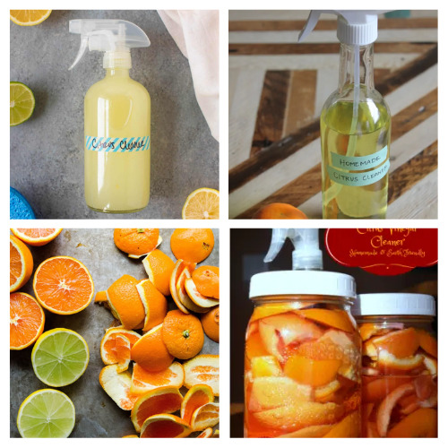 16 Frugal Citrus Homemade Cleaners- Clean your home naturally and make it smell wonderful at the same time with these frugal DIY citrus cleaners! | #homemadeCleaners #diyCleaners #cleaning #cleaningTips #ACultivatedNest