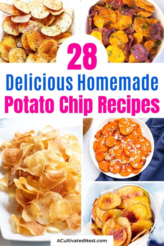 32 Tasty Potato Salad Recipes- A Cultivated Nest