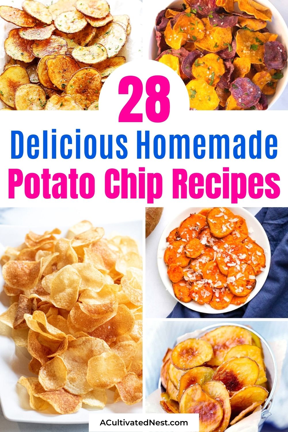 28 Delicious Homemade Potato Chip Recipes
