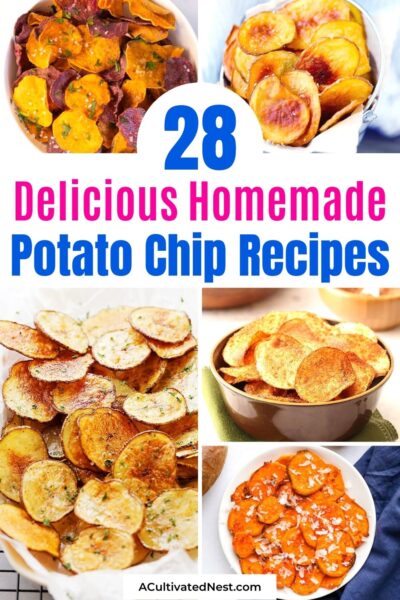 28 Delicious Homemade Potato Chip Recipes- A Cultivated Nest