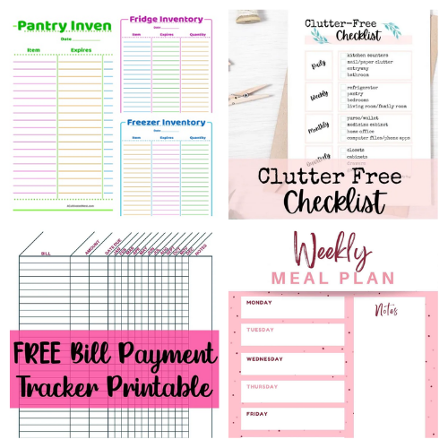 24 Handy Organization Free Printables- Get your family's home and life organized easily on a budget with these handy free organization printables! These are perfect for your home binder or mom binder! | #freePrintables #printables #organization #organizingTips #ACultivatedNest