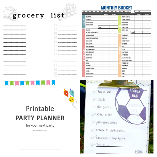 24 Handy Organization Free Printables- Get your family's home and life organized easily on a budget with these handy free organization printables! These are perfect for your home binder or mom binder! | #freePrintables #printables #organization #organizingTips #ACultivatedNest