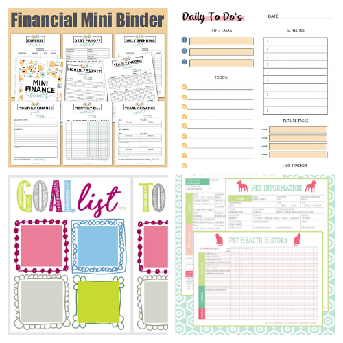24 Handy Free Organization Printables- Get your family's home and life organized easily on a budget with these handy free organization printables! These are perfect for your home binder or mom binder! | #freePrintables #printables #organization #organizingTips #ACultivatedNest