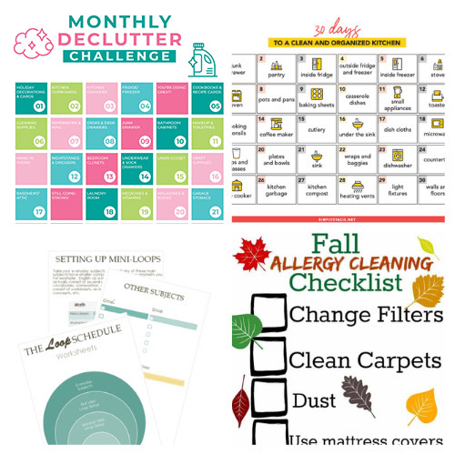 24 Handy Free Organization Printables- Get your family's home and life organized easily on a budget with these handy free organization printables! These are perfect for your home binder or mom binder! | #freePrintables #printables #organization #organizingTips #ACultivatedNest