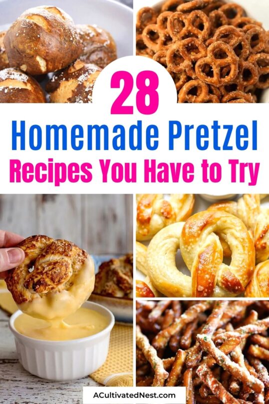 28 Homemade Pretzel Recipes You Have to Try- A Cultivated Nest