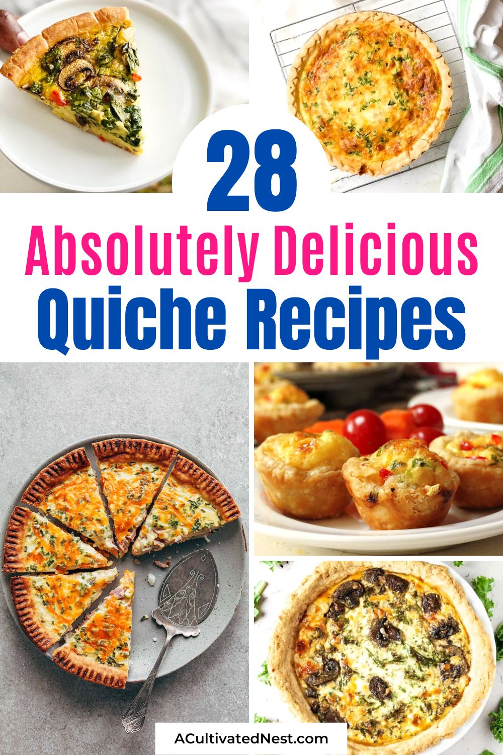 28 Delicious Quiche Recipes- Want an easy and delicious recipe for breakfast or lunch? Then you need to check out these tasty homemade quiche recipes! There are so many different delicious ways to make quiche! | #breakfastRecipes #recipes #quicheRecipes #eggRecipes #ACultivatedNest