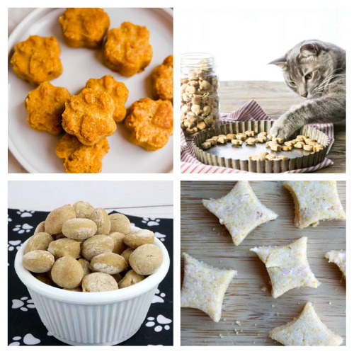 24 Homemade Cat Treats Your Cat Will Love- Give your cat a delicious and healthy treat on a budget by making some of these tasty homemade cat treats! | #catTreats #catRecipes #petTreats #petRecipes #ACultivatedNest