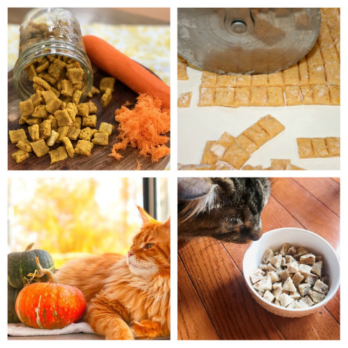 24 Homemade Cat Treats Your Cat Will Love- Give your cat a delicious and healthy treat on a budget by making some of these tasty homemade cat treats! | #catTreats #catRecipes #petTreats #petRecipes #ACultivatedNest