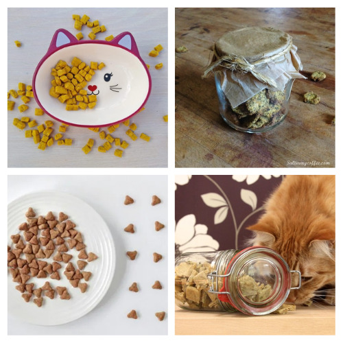 24 DIY Cat Treats Your Cat Will Love- Give your cat a delicious and healthy treat on a budget by making some of these tasty homemade cat treats! | #catTreats #catRecipes #petTreats #petRecipes #ACultivatedNest