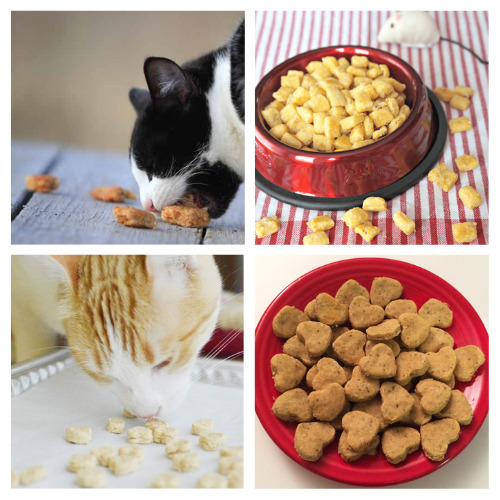 24 DIY Cat Treats Your Cat Will Love- Give your cat a delicious and healthy treat on a budget by making some of these tasty homemade cat treats! | #catTreats #catRecipes #petTreats #petRecipes #ACultivatedNest
