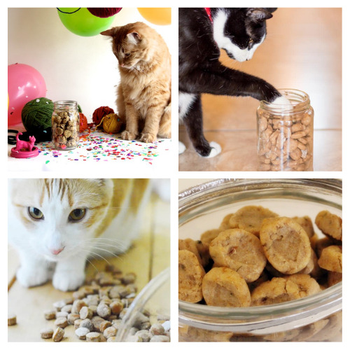 24 Cat Treat Recipes Your Cat Will Love- Give your cat a delicious and healthy treat on a budget by making some of these tasty homemade cat treats! | #catTreats #catRecipes #petTreats #petRecipes #ACultivatedNest