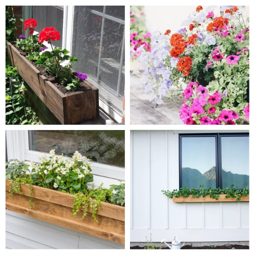 20 Cute Window Box DIY Planters- Spruce up your house with these cute DIY window box planters! Fill them with live or fake flowers to add color and flair to your home! | #diy #diyProjects #windowBox #flowers #ACultivatedNest