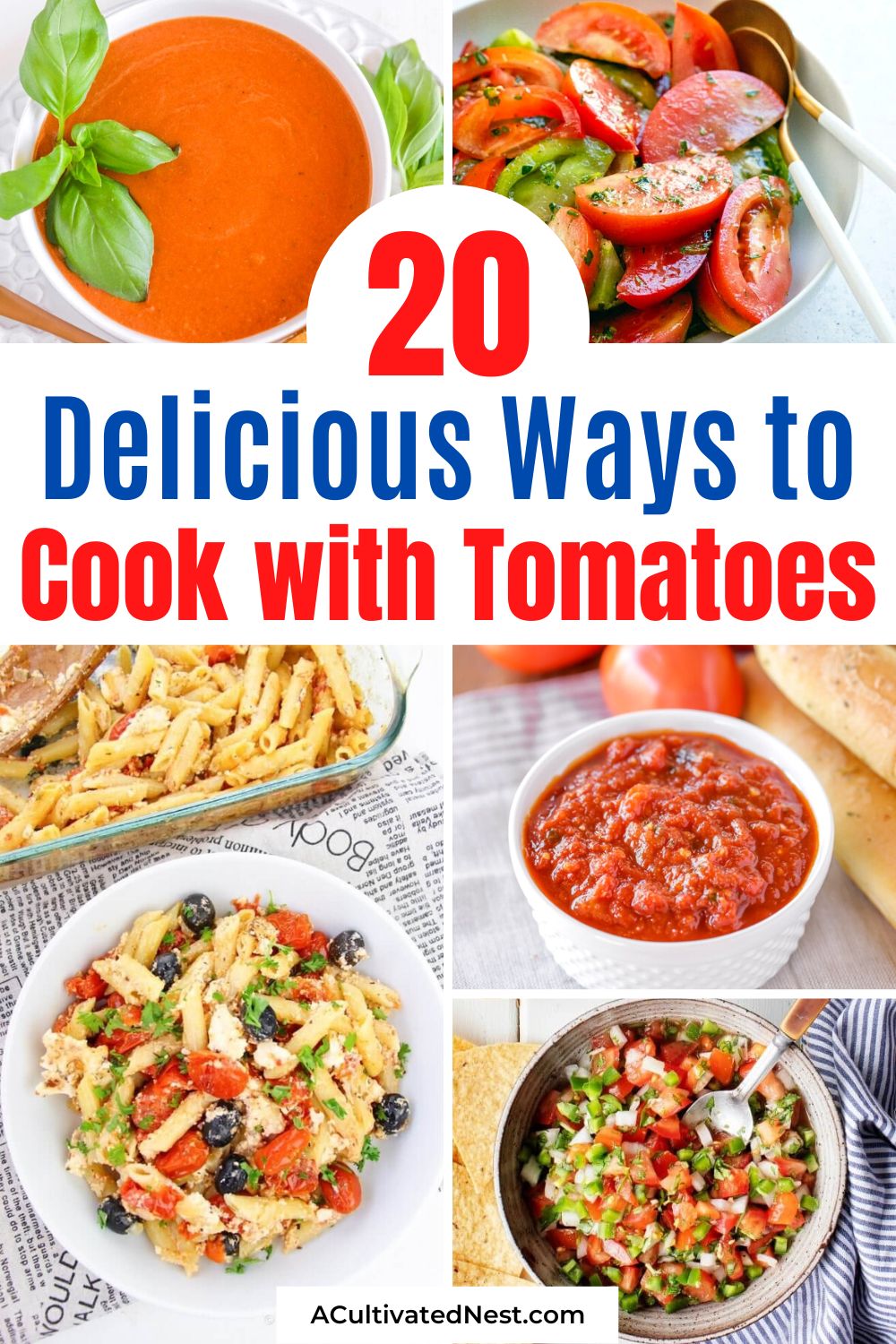 20 Delicious Ways to Use Homegrown Tomatoes- If you've grown a lot of tomatoes or bought too many at the store, check out these delicious ways to use tomatoes! Get the most out of your garden with these recipes for your produce! | #recipe #tomato #tomatoRecipes #vegetarian #ACultivatedNest