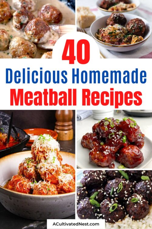 40 Delicious Meatball Recipes You Must Try- A Cultivated Nest