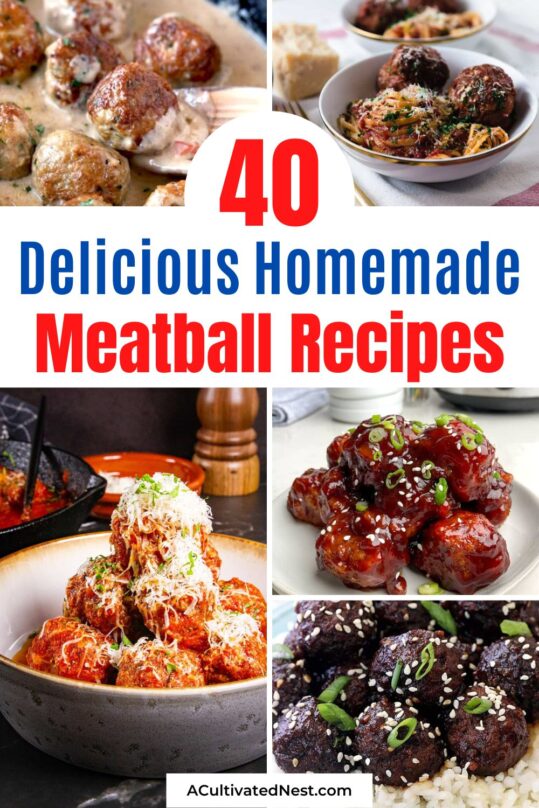 40 Delicious Meatball Recipes You Must Try- A Cultivated Nest