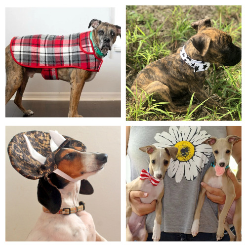 12 Cute Free Dog Clothes Sewing Patterns- Stop overpaying for pet store apparel! Discover adorable free dog clothes sewing patterns that are perfect for upcycling your fabric scraps or old t-shirts. Whether you have a tiny chihuahua or a larger breed, these quick and easy DIY projects are a great way to spoil your furry best friend on a budget. Grab your sewing machine and start creating some custom "pup-wear" today! | #SewingForPets #DogClothes #FreeSewingPatterns #DIYDog #ACultivatedNest 12 Cute Free Dog Clothes Sewing Patterns- Stop overpaying for pet store apparel! Discover adorable free dog clothes sewing patterns that are perfect for upcycling your fabric scraps or old t-shirts. Whether you have a tiny chihuahua or a larger breed, these quick and easy DIY projects are a great way to spoil your furry best friend on a budget. Grab your sewing machine and start creating some custom "pup-wear" today! | #SewingForPets #DogClothes #FreeSewingPatterns #DIYDog #ACultivatedNest