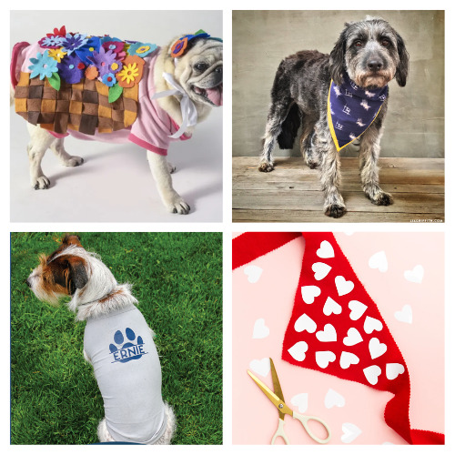 12 Cute Free Sewing Patters for Dog Outfits- Stop overpaying for pet store apparel! Discover adorable free dog clothes sewing patterns that are perfect for upcycling your fabric scraps or old t-shirts. Whether you have a tiny chihuahua or a larger breed, these quick and easy DIY projects are a great way to spoil your furry best friend on a budget. Grab your sewing machine and start creating some custom "pup-wear" today! | #SewingForPets #DogClothes #FreeSewingPatterns #DIYDog #ACultivatedNest 12 Cute Free Sewing Patters for Dog Outfits- Stop overpaying for pet store apparel! Discover adorable free dog clothes sewing patterns that are perfect for upcycling your fabric scraps or old t-shirts. Whether you have a tiny chihuahua or a larger breed, these quick and easy DIY projects are a great way to spoil your furry best friend on a budget. Grab your sewing machine and start creating some custom "pup-wear" today! | #SewingForPets #DogClothes #FreeSewingPatterns #DIYDog #ACultivatedNest