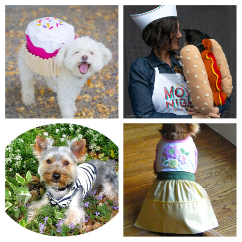 12 Cute Free Sewing Patters for Dog Outfits- Stop overpaying for pet store apparel! Discover adorable free dog clothes sewing patterns that are perfect for upcycling your fabric scraps or old t-shirts. Whether you have a tiny chihuahua or a larger breed, these quick and easy DIY projects are a great way to spoil your furry best friend on a budget. Grab your sewing machine and start creating some custom "pup-wear" today! | #SewingForPets #DogClothes #FreeSewingPatterns #DIYDog #ACultivatedNest 12 Cute Free Sewing Patters for Dog Outfits- Stop overpaying for pet store apparel! Discover adorable free dog clothes sewing patterns that are perfect for upcycling your fabric scraps or old t-shirts. Whether you have a tiny chihuahua or a larger breed, these quick and easy DIY projects are a great way to spoil your furry best friend on a budget. Grab your sewing machine and start creating some custom "pup-wear" today! | #SewingForPets #DogClothes #FreeSewingPatterns #DIYDog #ACultivatedNest
