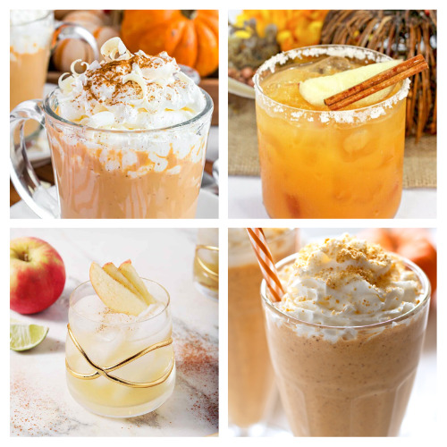 24 Delicious Fall Drink Recipes- Celebrate all the wonderful flavors of fall with some of these delicious fall drink recipes! These are great for parties! | nonalcoholic drinks, alcoholic drinks, #fallRecipes #drinkRecipes #drinks #recipes #ACultivatedNest
