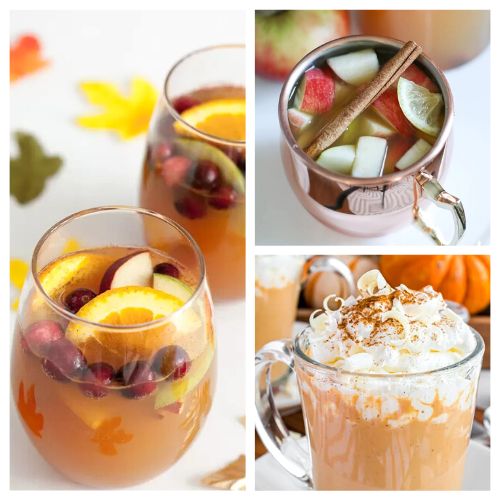 24 Delicious Fall Drink Recipes- Celebrate all the wonderful flavors of fall with some of these delicious fall drink recipes! These are great for parties! | nonalcoholic drinks, alcoholic drinks, #fallRecipes #drinkRecipes #drinks #recipes #ACultivatedNest