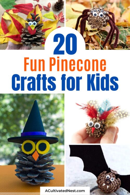 20 Fun Pinecone Crafts for Kids - A Cultivated Nest