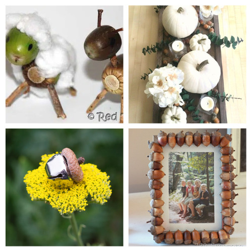 20 Fun Acorn Crafts- Acorns make wonderful décor craft materials for fall, and other times of the year, too! Check out these cute acorn crafts for inspiration! | #crafts #acorns #fallCrafts #fallDecor #ACultivatedNest