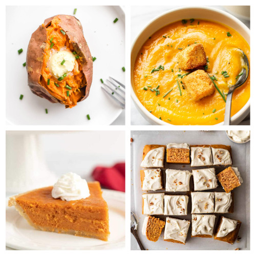 24 Tasty Recipes Using Sweet Potatoes- One of my favorite fall flavors is sweet potato! If you need some new ideas for how to cook and bake with sweet potatoes, you'll love this delicious collection of tasty recipes using sweet potatoes! | sweet potato desserts, sweet potato sides, fall desserts, #sweetPotato #fallRecipes #recipes #sideDishes #ACultivatedNest