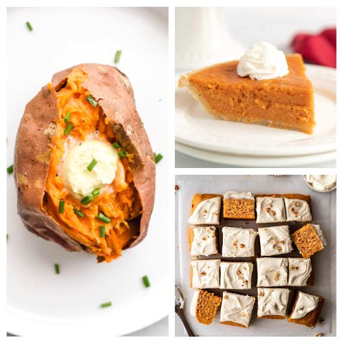 24 Tasty Recipes Using Sweet Potatoes- One of my favorite fall flavors is sweet potato! If you need some new ideas for how to cook and bake with sweet potatoes, you'll love this delicious collection of tasty recipes using sweet potatoes! | sweet potato desserts, sweet potato sides, fall desserts, #sweetPotato #fallRecipes #recipes #sideDishes #ACultivatedNest