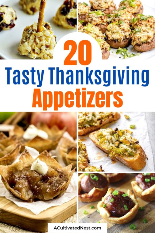 20 Tasty Thanksgiving Appetizers- A Cultivated Nest