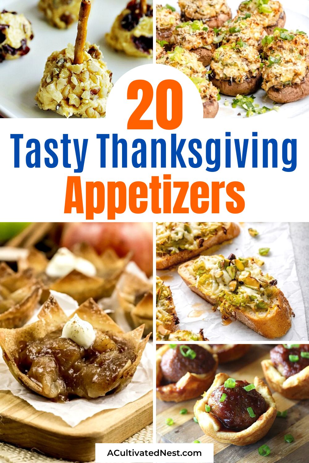 20 Tasty Thanksgiving Appetizers- A Cultivated Nest