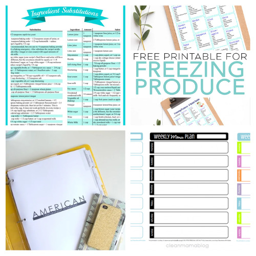 20 Handy Free Kitchen Printables- Are you looking for free printables for your kitchen? Check out these free printable kitchen cheat sheets and handy organizing templates! | #freePrintables #printable #kitchen #cooking #ACultivatedNest